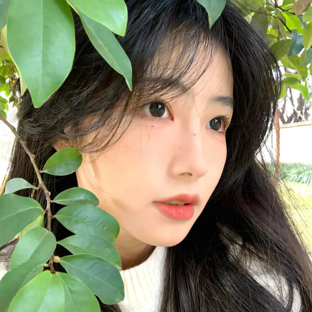 独家童话